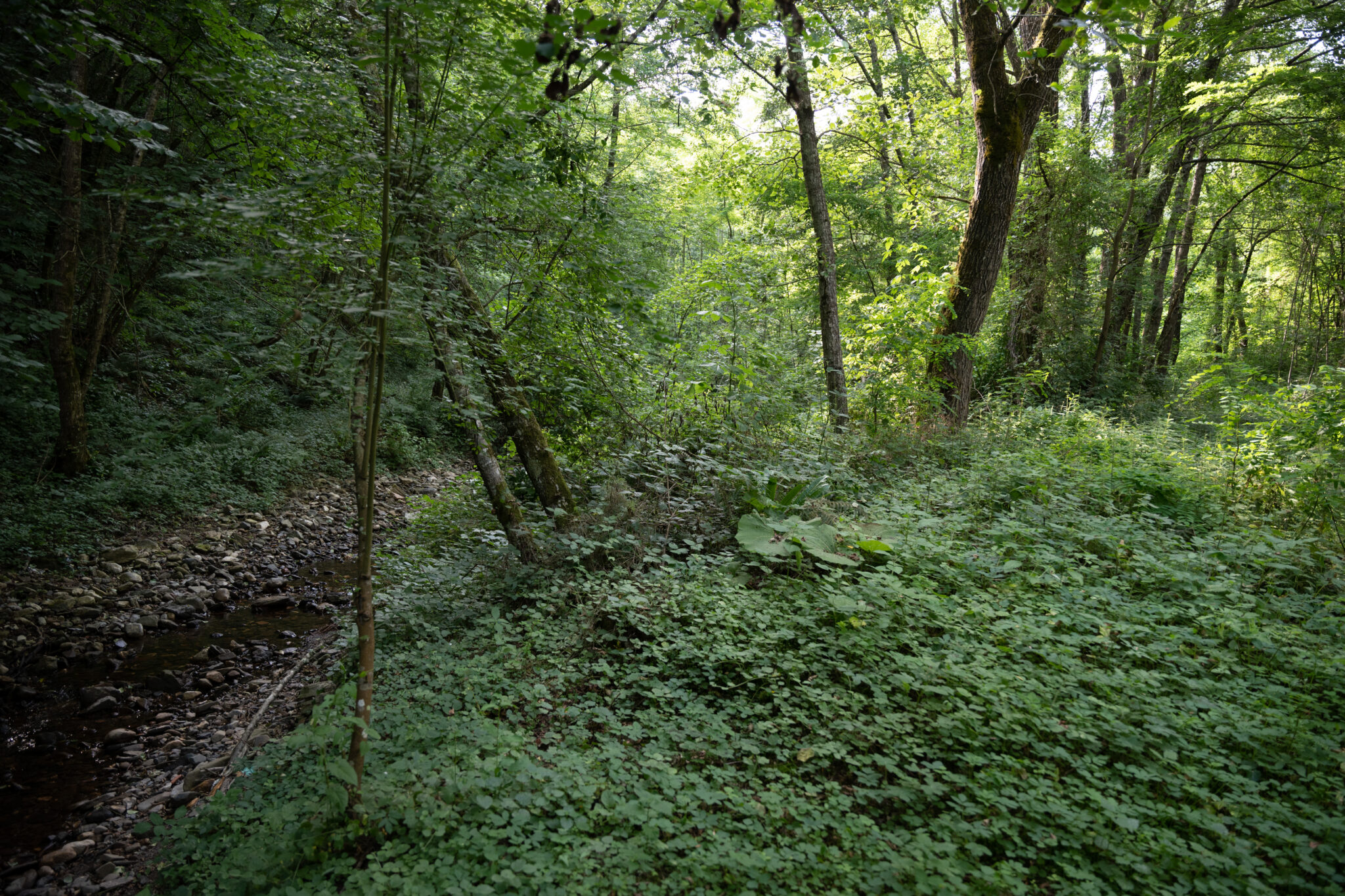Cerska-mass-grave