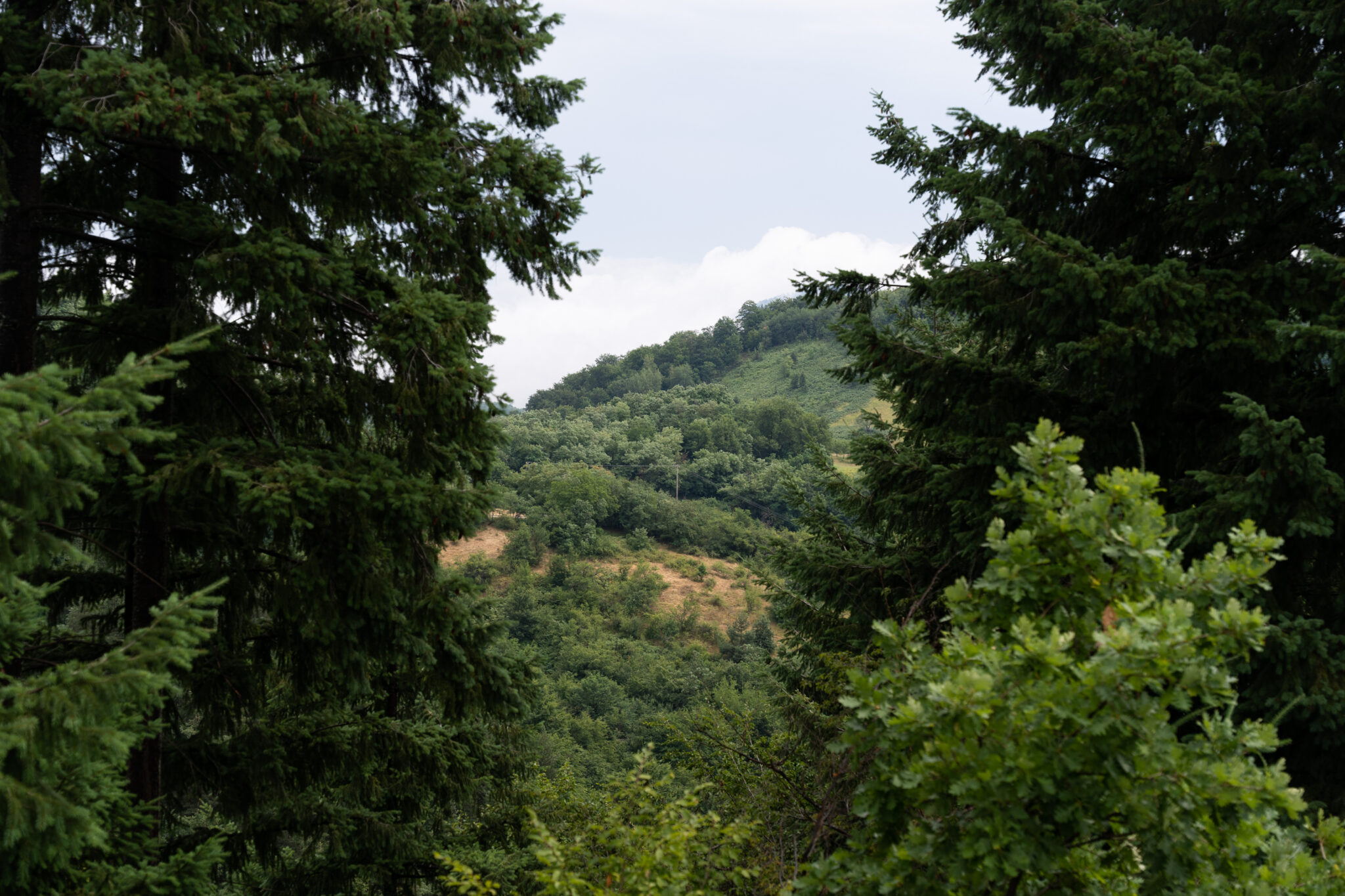 srebrenica genocide