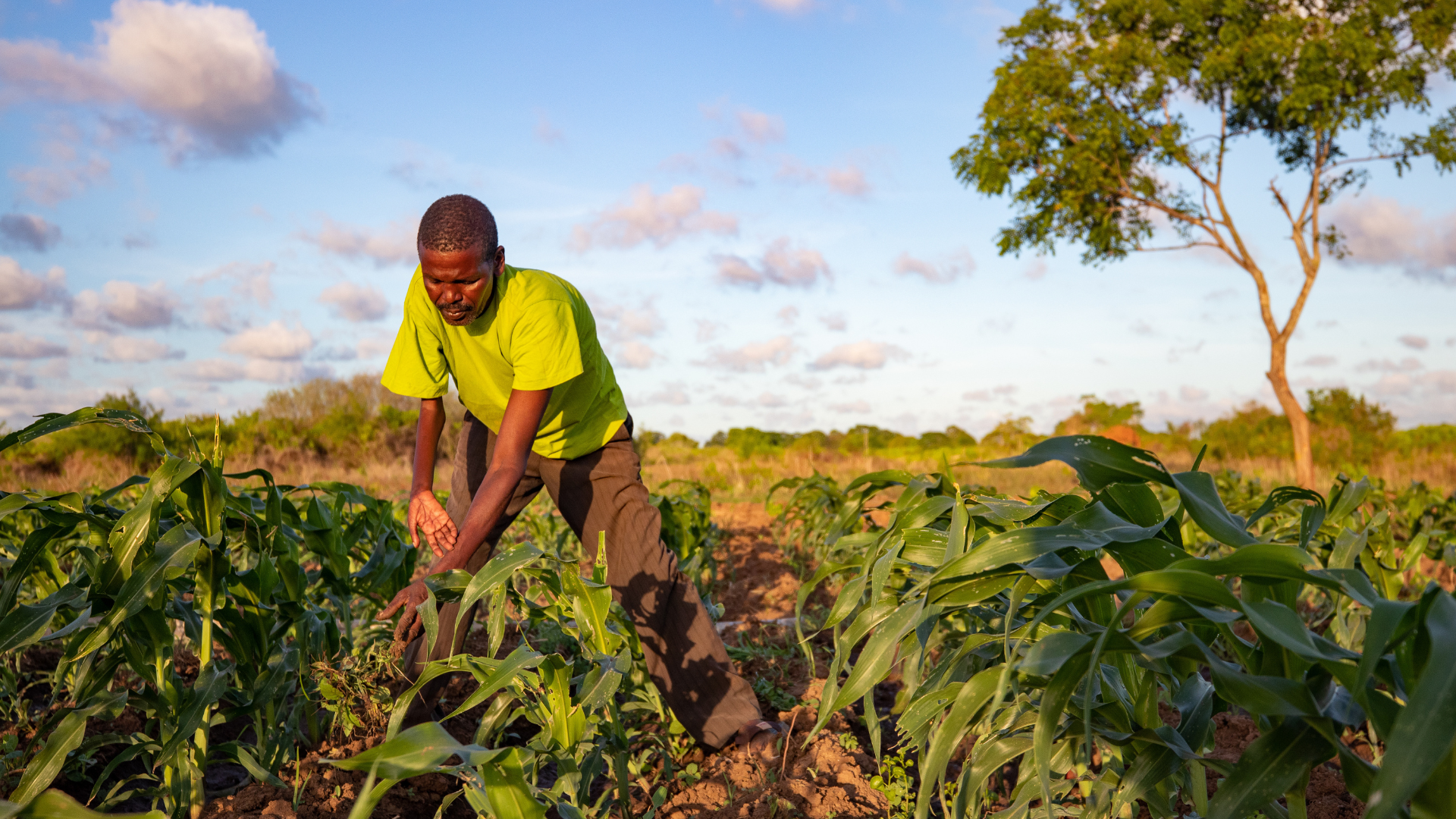 Creating land for farming