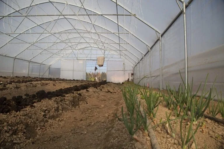 A greenhouse in Bosnia